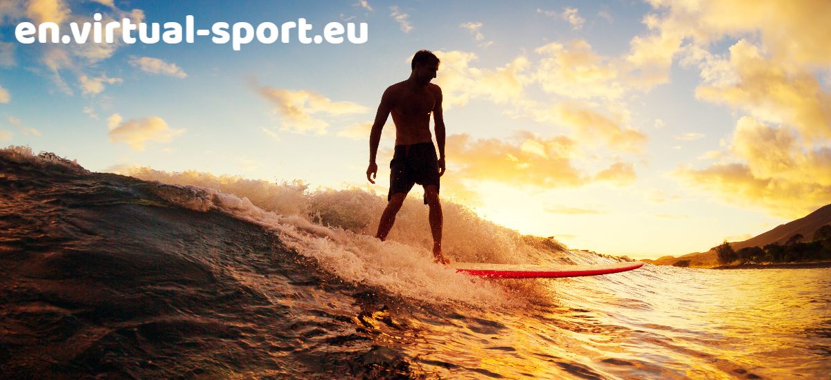 en.virtual-sport.eu